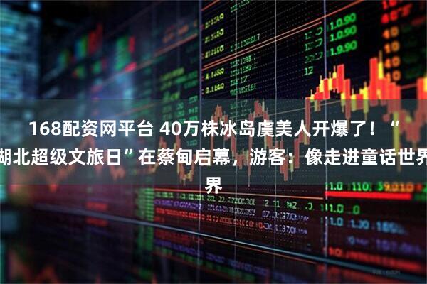 168配资网平台 40万株冰岛虞美人开爆了！“湖北超级文旅日”在蔡甸启幕，游客：像走进童话世界
