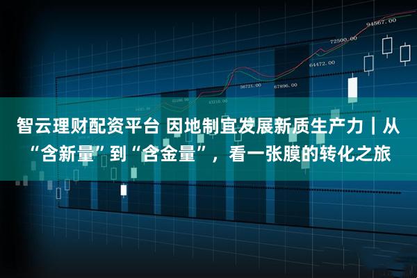 智云理财配资平台 因地制宜发展新质生产力｜从“含新量”到“含金量”，看一张膜的转化之旅