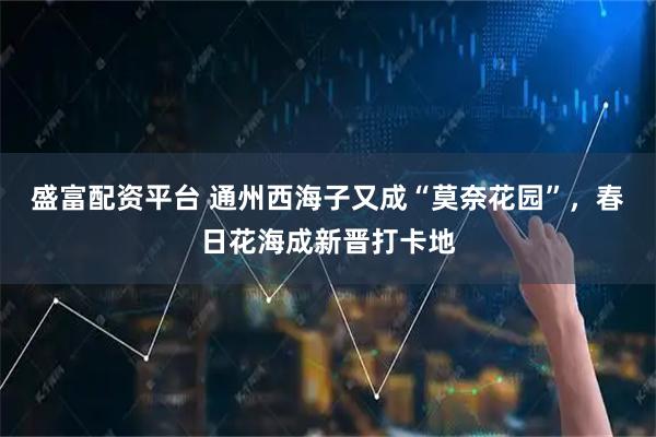 盛富配资平台 通州西海子又成“莫奈花园”，春日花海成新晋打卡地