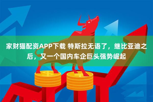 家财猫配资APP下载 特斯拉无语了，继比亚迪之后，又一个国内车企巨头强势崛起