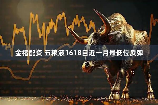 金猪配资 五粮液1618自近一月最低位反弹