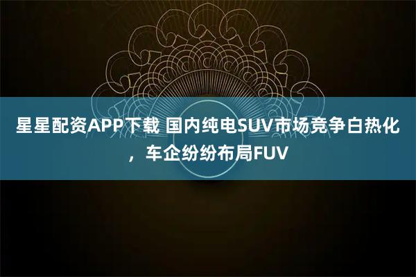 星星配资APP下载 国内纯电SUV市场竞争白热化，车企纷纷布局FUV